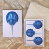Horseshoe Crab Boxed Note Card Set