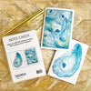 Oysters Boxed Note Card Set